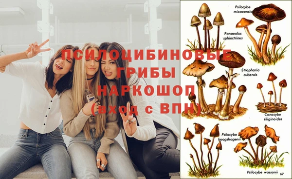 наркотики Алзамай