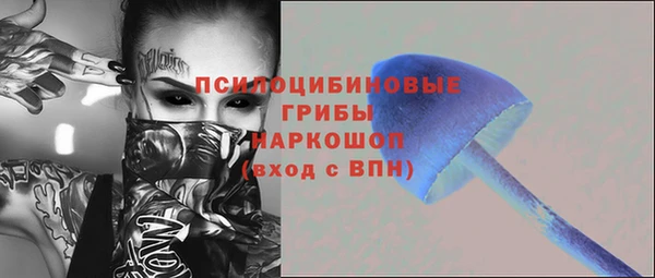 спиды Абаза