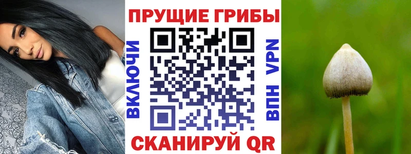 Псилоцибиновые грибы Magic Shrooms  дарк нет телеграм  Трубчевск  что такое наркотик  МЕГА ССЫЛКА 